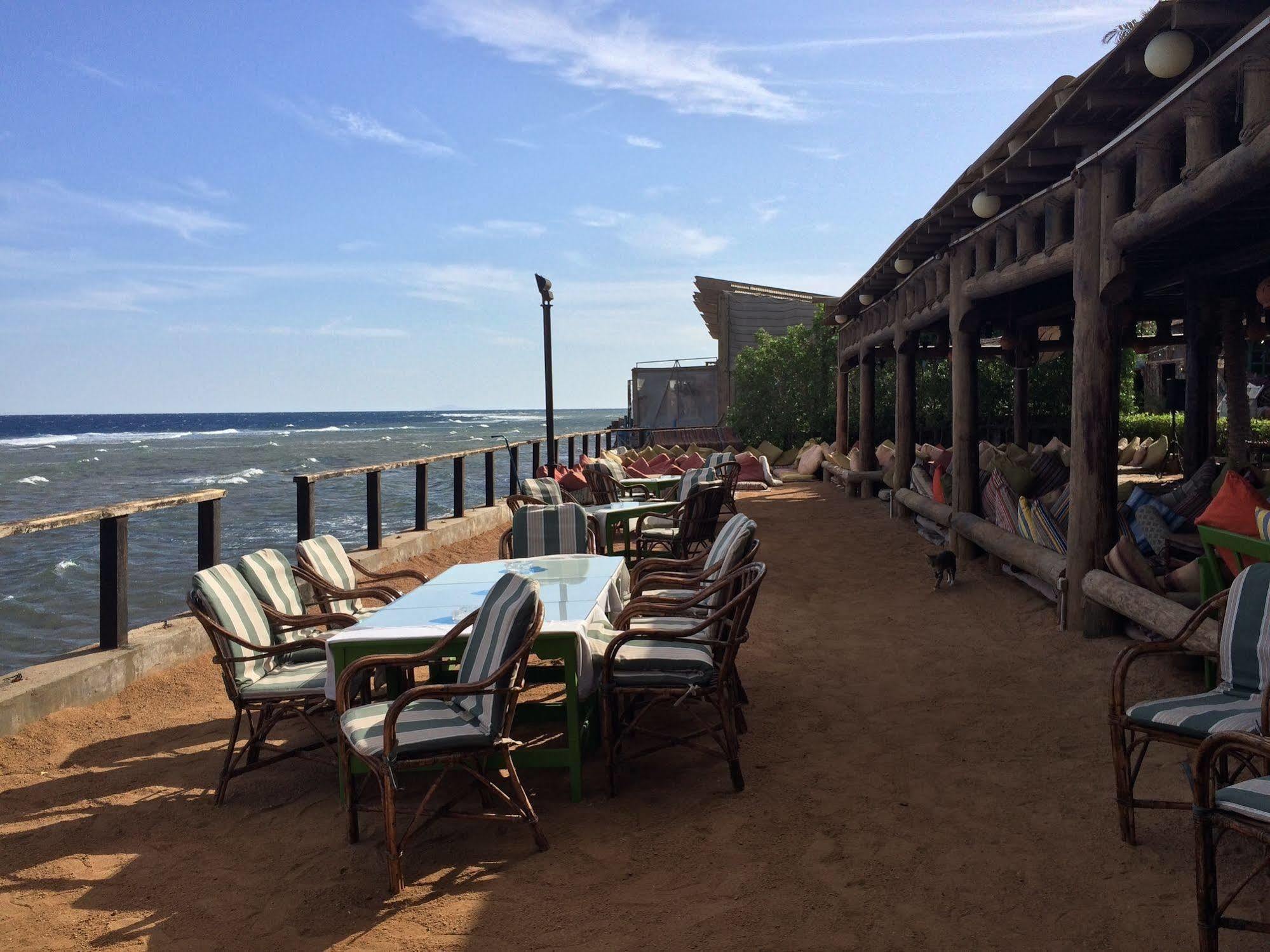 Penguin Village Dahab Exterior photo